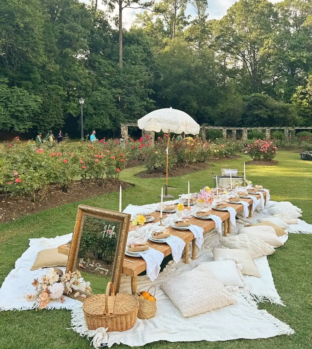 College Graduation Party Ideas: 23 Fun Ways to Celebrate 6 Outdoor Picnic Celebration with Custom Decor